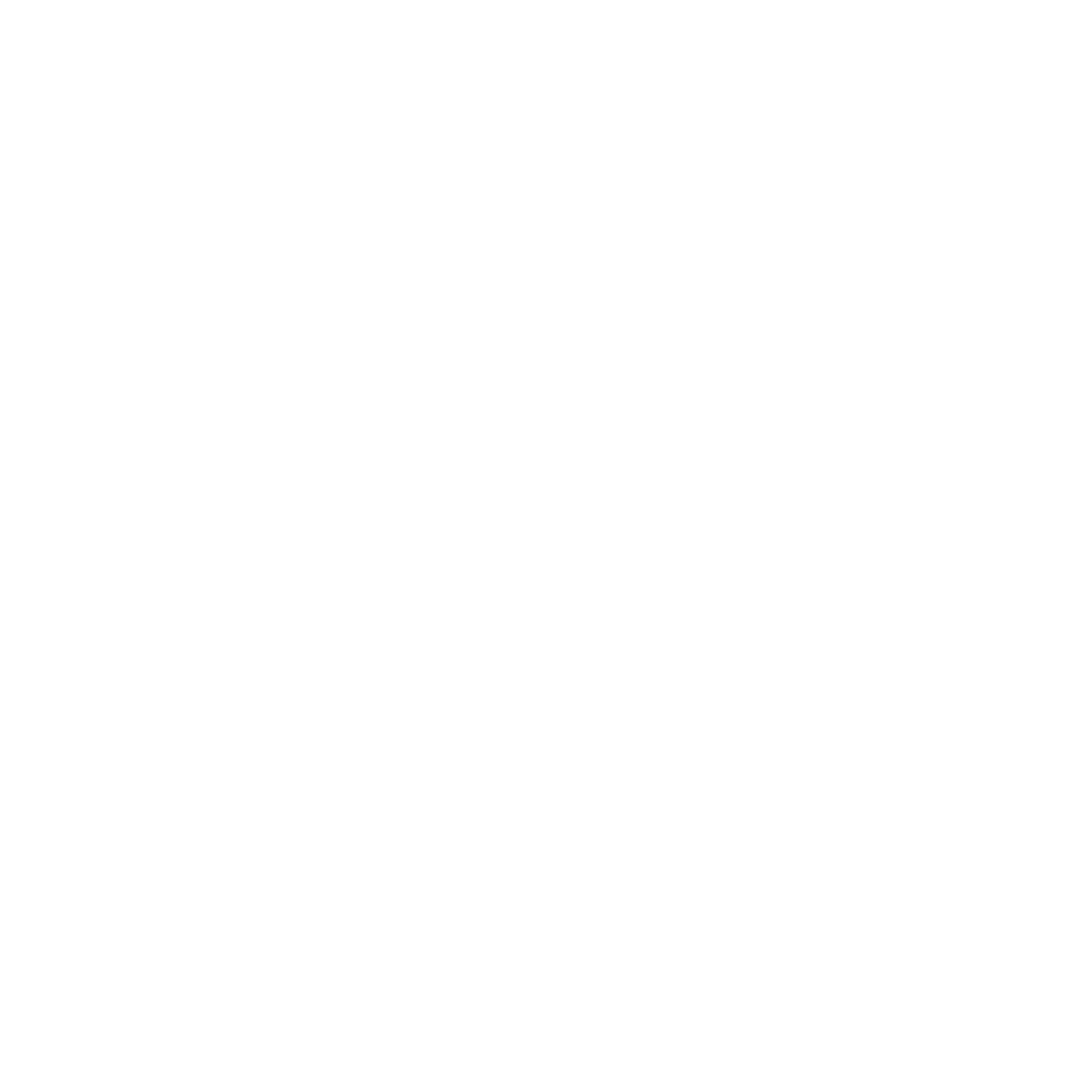 Brizido JJ Logo
